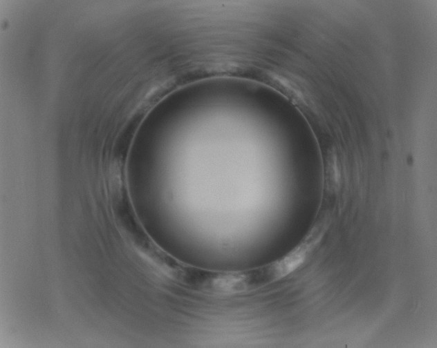 X0000076100172200610061715