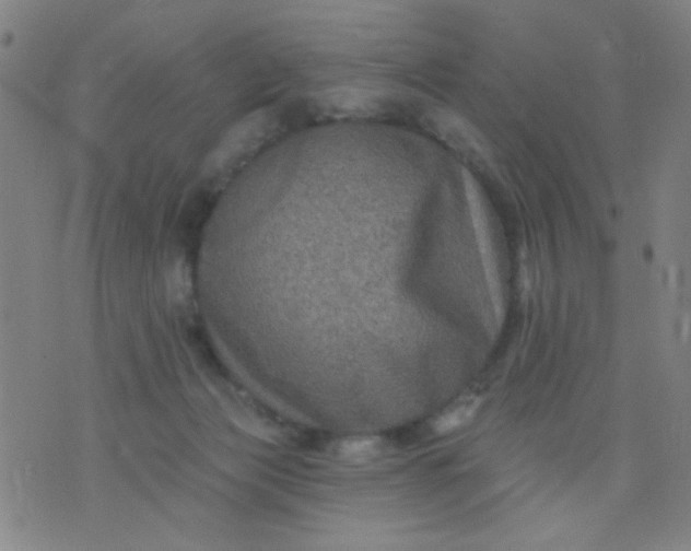 X0000076100173200610061715