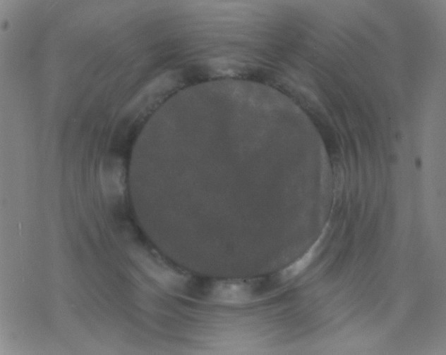 X0000076100174200610061715