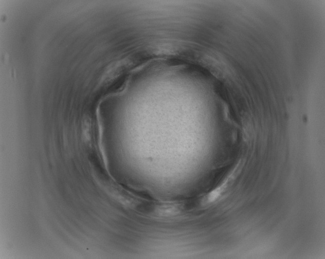 X0000076100175200610061716