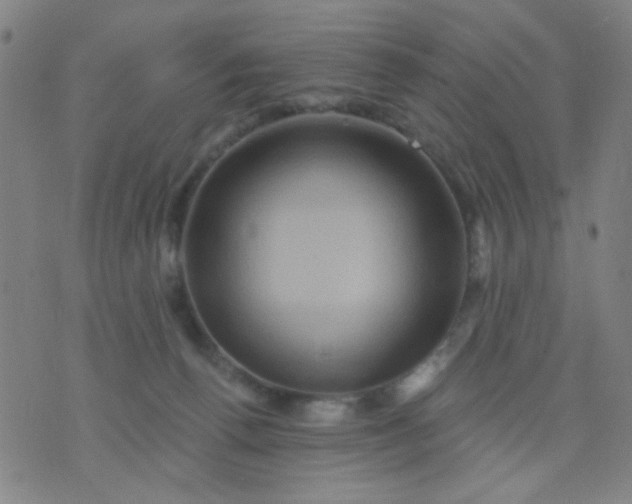 X0000076100176200610061716