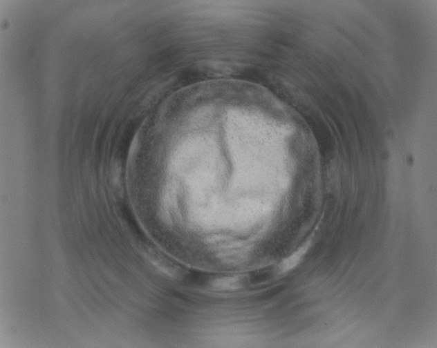 X0000076100178200610061716