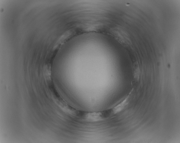 X0000076100179200610061716