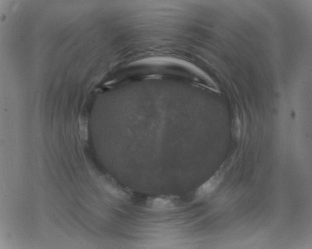 X0000076100180200610061716