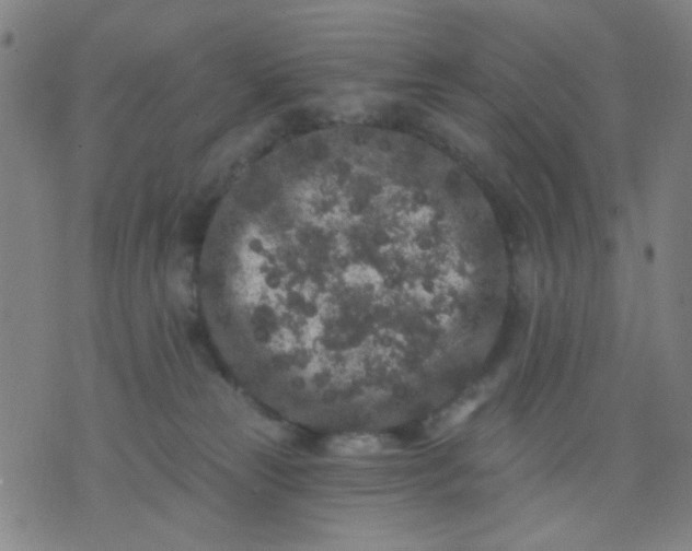 X0000076100181200610061716