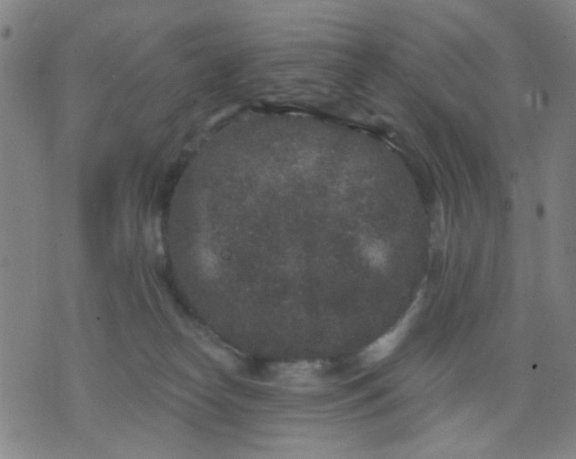 X0000076100182200610061716