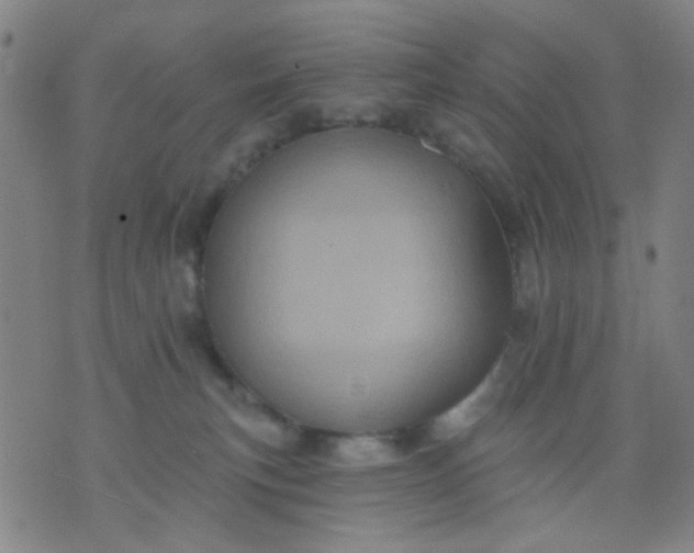 X0000076100183200610061716