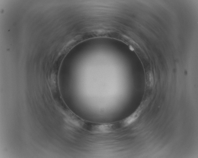 X0000076100184200610061716