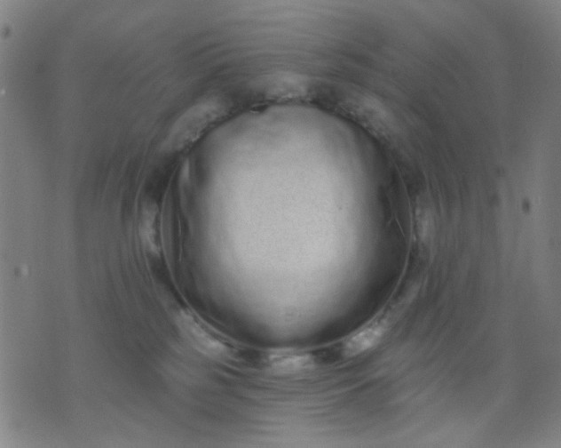 X0000076100185200610061716