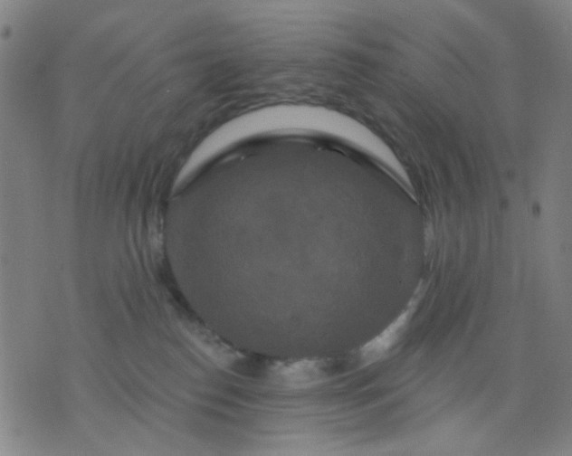 X0000076100186200610061716