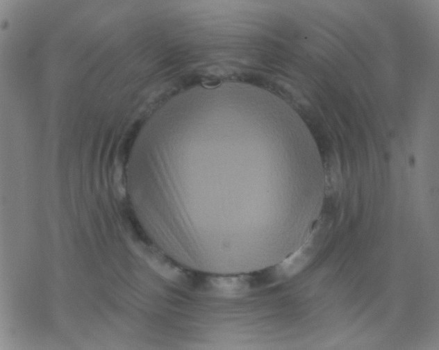 X0000076100187200610061716