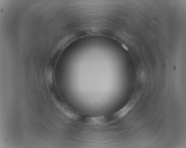 X0000076100188200610061716