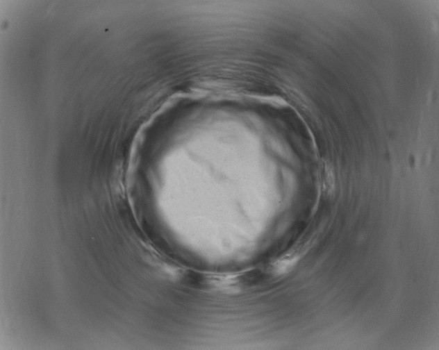 X0000076100189200610061716