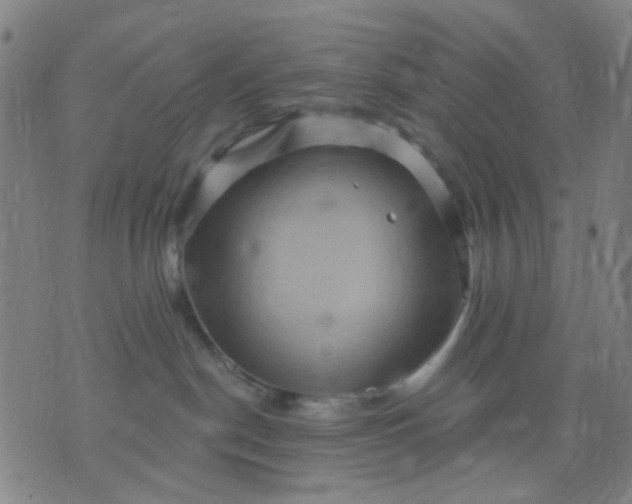 X0000076100190200610061716