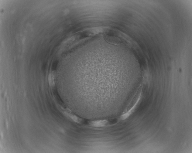 X0000076100191200610061716