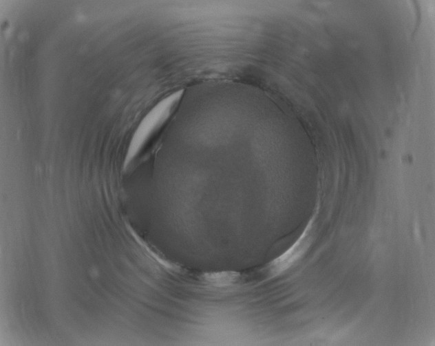 X0000076100192200610061716