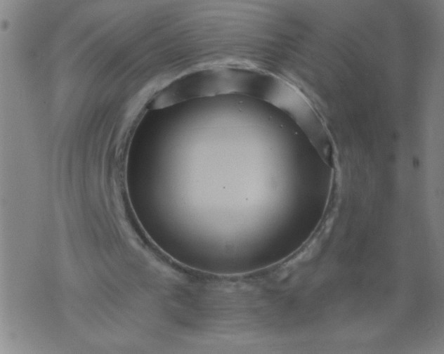 X0000076100193200610061715