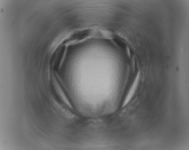 X0000076100194200610061715