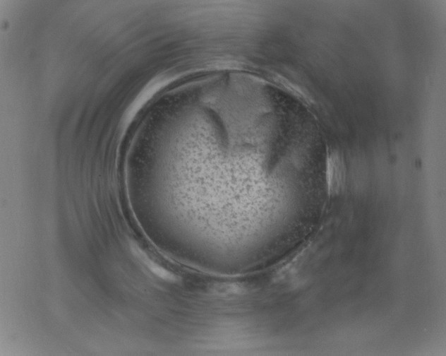 X0000076100195200610061715