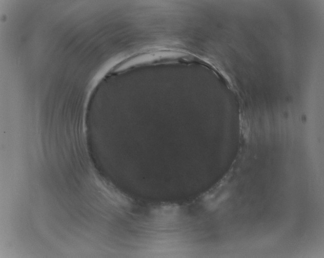 X0000076100196200610061715