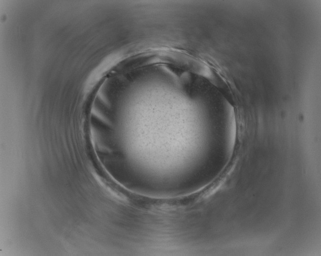 X0000076100197200610061715