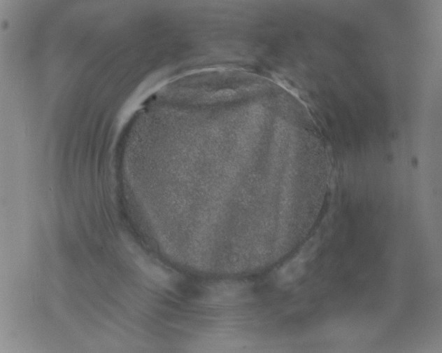 X0000076100198200610061715