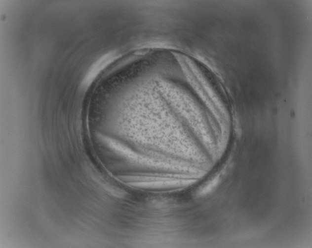 X0000076100199200610061715