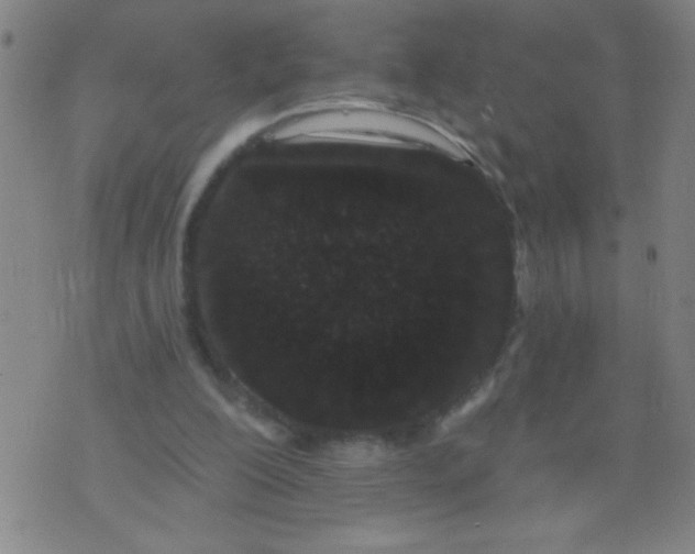 X0000076100200200610061715