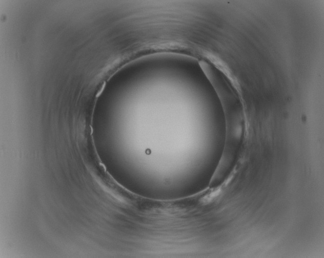 X0000076100201200610061715