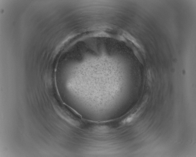 X0000076100203200610061715