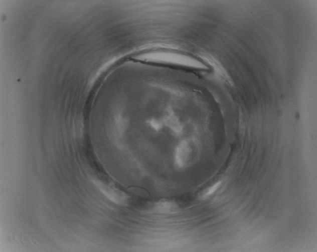 X0000076100204200610061715