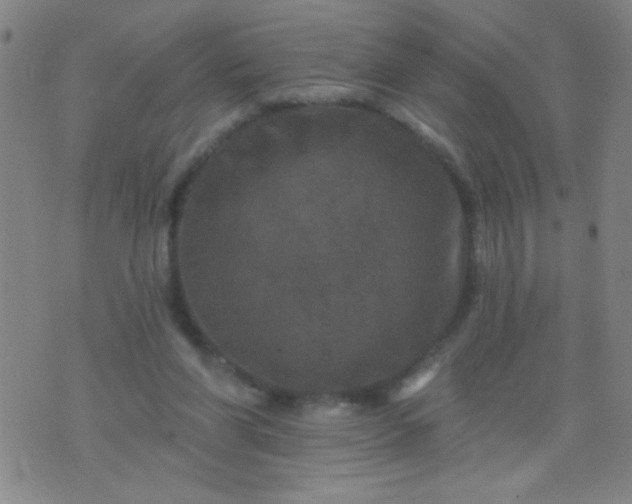 X0000076100206200610061715