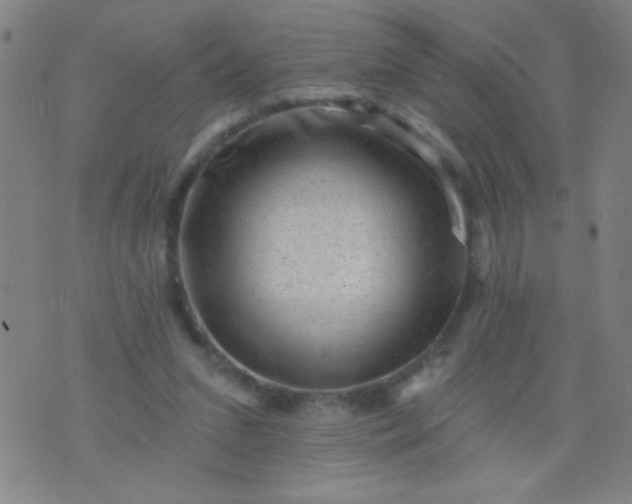 X0000076100207200610061715