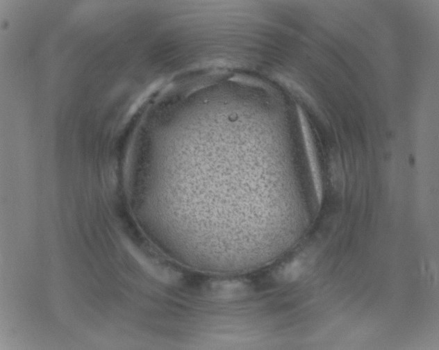 X0000076100208200610061715