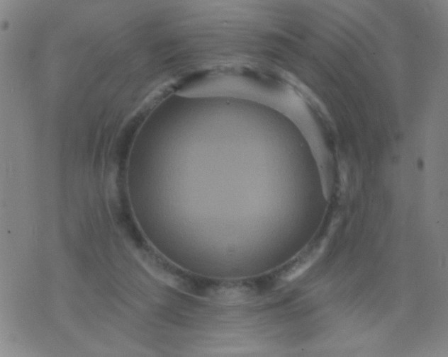 X0000076100209200610061715