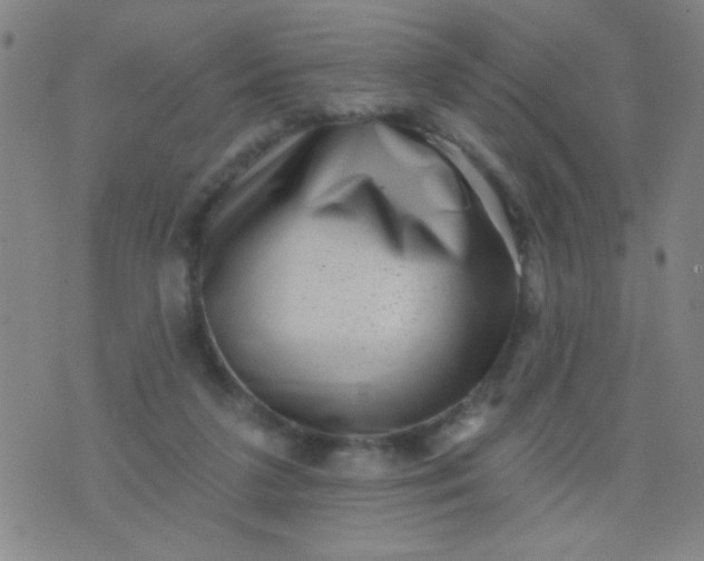 X0000076100211200610061715