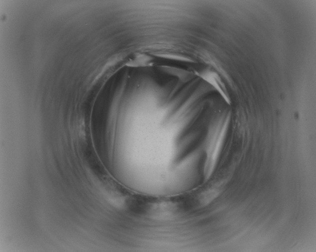 X0000076100212200610061715