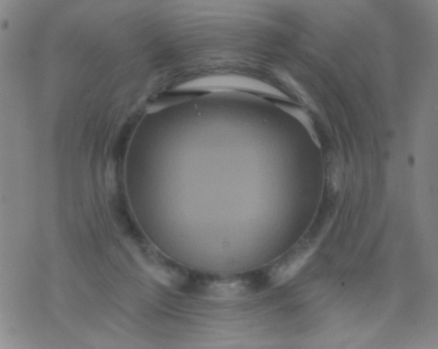 X0000076100213200610061715