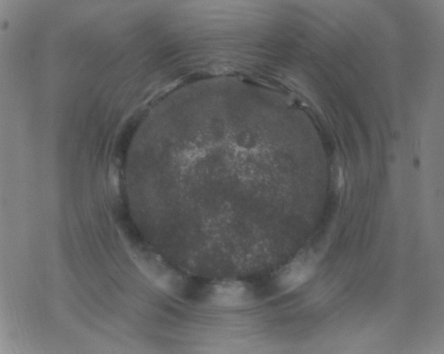 X0000076100214200610061715