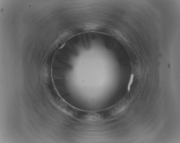 X0000076100215200610061715