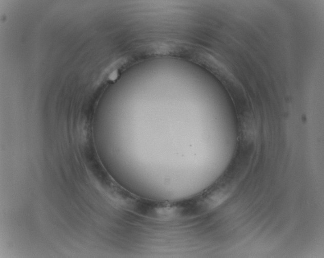 X0000076100216200610061715