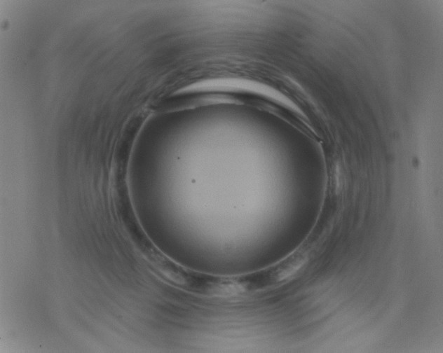 X0000076100217200610061715