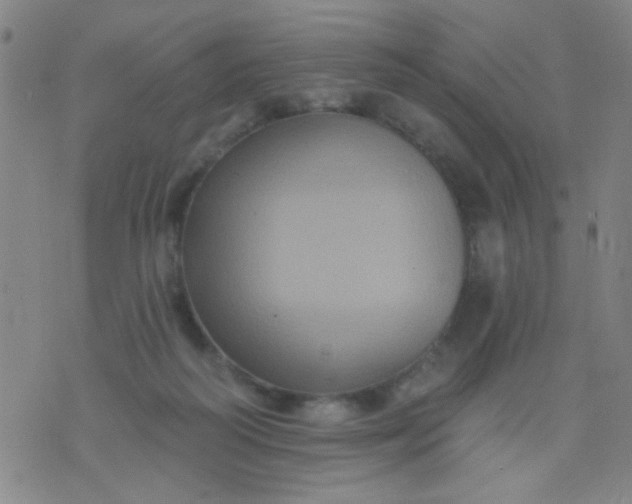 X0000076100218200610061715