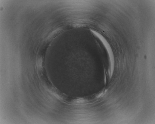 X0000076100219200610061715