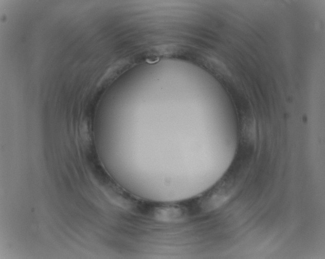 X0000076100220200610061715