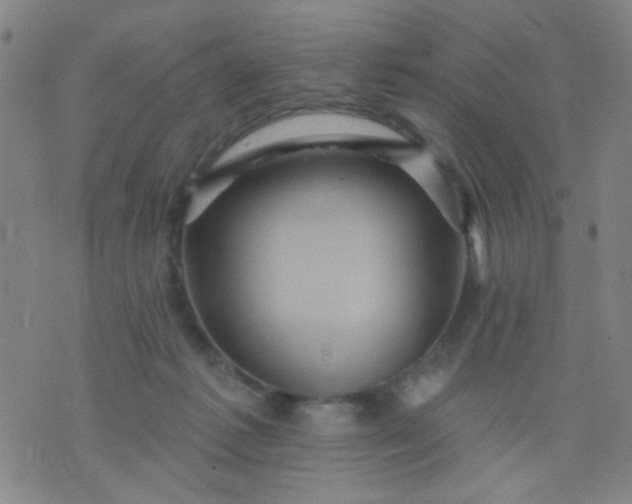 X0000076100221200610061715