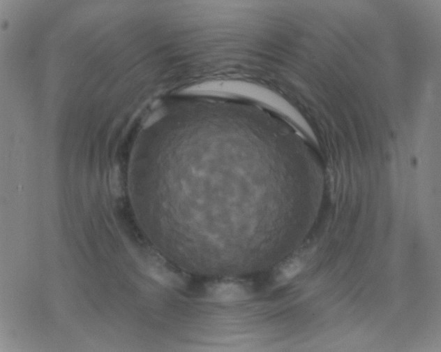 X0000076100224200610061715