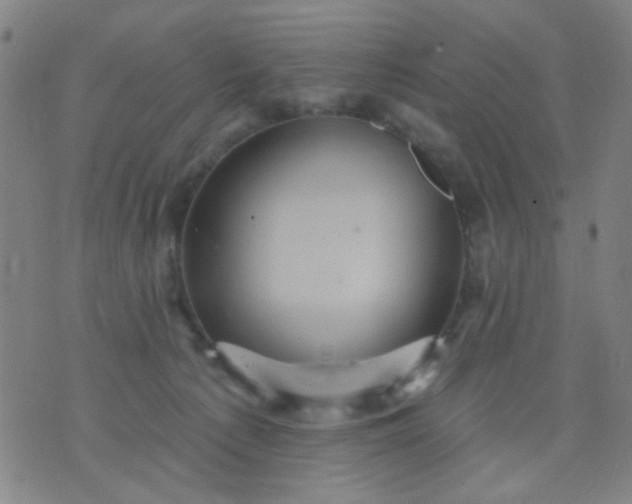 X0000076100225200610061714