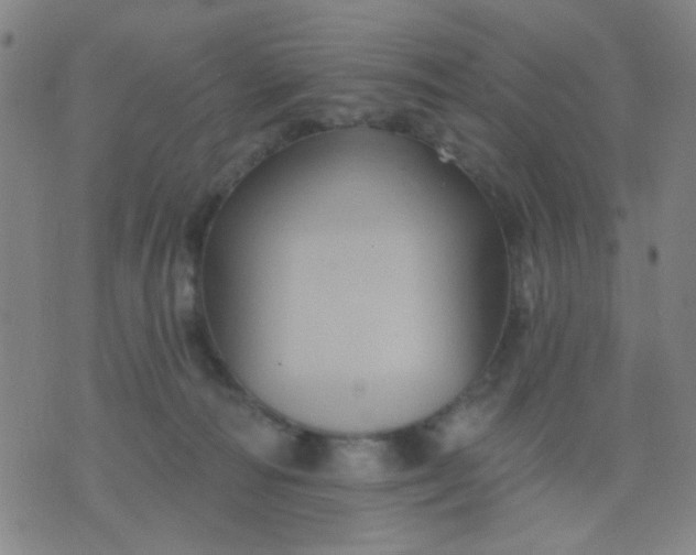 X0000076100226200610061714