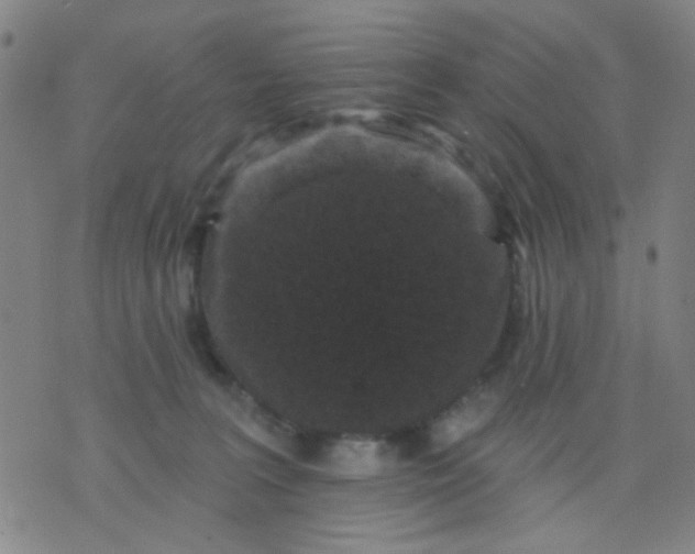 X0000076100227200610061714